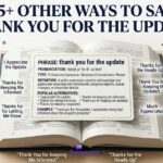55+ Other Ways to Say "Thank You for the Update" in 2026