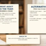 Great Asset to the Team - meaning, usage and examples