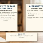 Happy to Be Part of the Team - meaning, usage and examples