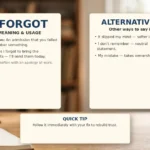 I Forgot - meaning, usage and examples