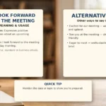 I Look Forward to the Meeting - meaning, usage and examples