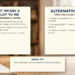 It Means a Lot to Me - meaning, usage and examples