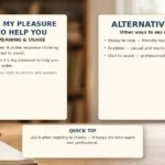 It's My Pleasure to Help You - meaning, usage and examples