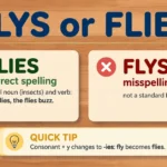 Flys or Flies: Correct Spelling and Examples