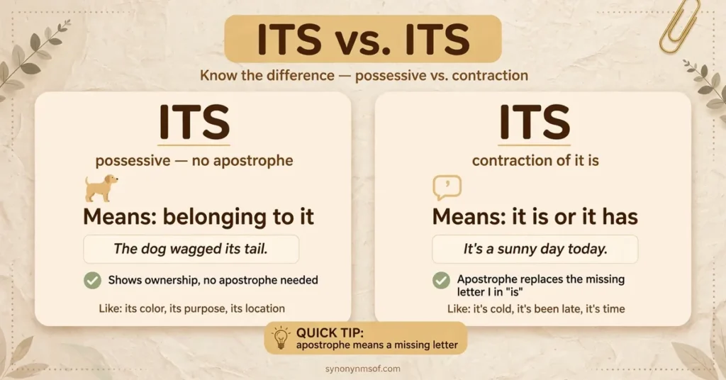 Its or It's: Meaning, Difference, and Real Examples