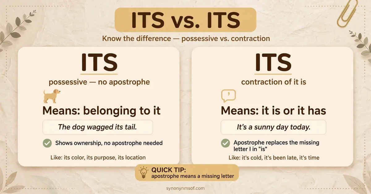 Its or It's: Meaning, Difference, and Real Examples