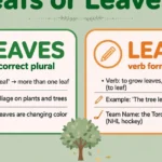 Leafs or Leaves: Correct Spelling, Meaning, and Examples