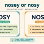 Infographic comparing the spellings nosy and nosey, showing nosy as the standard spelling and nosey as the variant spelling