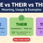 There vs their vs they're grammar infographic card showing meaning and usage of each word
