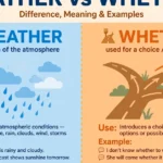 Weather or Whether: Difference, Meaning, and Examples
